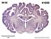_01020.jpg