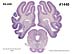_01440.jpg