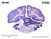 _01222.jpg