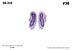 _036.jpg