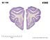 _0380.jpg