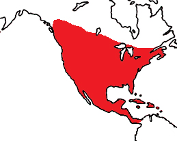 Distribution map