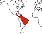 Distribution map