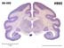 _0860.jpg