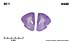 _0440.jpg