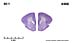 _0460.jpg