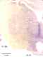 _1100manat8532thal6.jpg