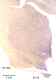 _1150manat8532thal6.jpg