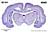 840