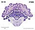 _01940.jpg