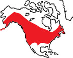 Distribution map