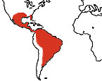 Distribution map