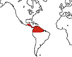 Distribution map