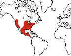 Distribution map