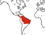 Distribution map