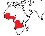 Distribution map