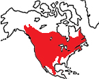 Distribution map
