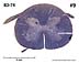_09.jpg