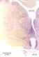 _1070manat8532thal6.jpg