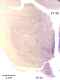 _1120manat8532thal6.jpg