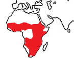 Distribution map